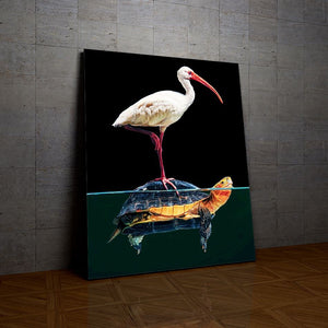 Oiseau et Tortue de la collection nouveauté en peinture par numéro sue Wall Factory