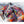 Images et détails de broderie diamant en image pour la peinture Broderie Diamant - Chevaux Colorés, de la collection animaux - Wall Factory