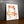 Le Petit Shiba la peinture par numéros ou numéro d'art sur Wall Factory