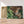 Première image de la peinture par numéro, Léopard Guetteur , dans un cadre en bois sur du parquet.