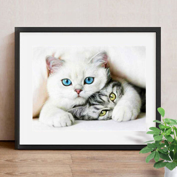 Images et détails de broderie diamant en image pour la peinture Broderie Diamant - Chat Blanc, de la collection chats -Wall Factory