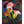 Orchidée Abstraite la peinture par numéros ou numéro d'art sur Wall Factory