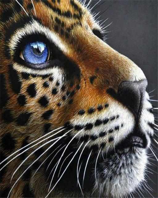 Pinceaux et toile de la peinture par numéro : Jeune Jaguar