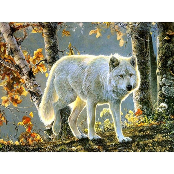 Le Loup Blanc la peinture par numéros ou numéro d'art sur Wall Factory