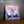 Charger l&#39;image dans la galerie, Deux Cygnes de la collection nouveauté en peinture par numéro sue Wall Factory
