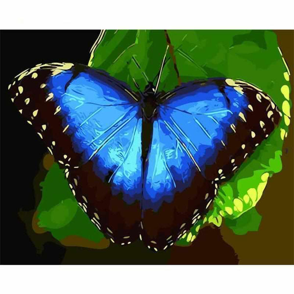 L'image de notre peinture par numéro, sans cadre et sans support, découvrez notre Peinture par numéros - Papillon Bleu, et faites votre choix parmis plus de 300 références.