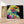 Charger l&#39;image dans la galerie, Première image de la peinture par numéro, Aigle Coloré , dans un cadre en bois sur du parquet.

