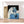 Charger l&#39;image dans la galerie, Première image de la peinture par numéro, Cheval Blanc , dans un cadre en bois sur du parquet.
