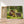 Charger l&#39;image dans la galerie, Première image de la peinture par numéro, Le Petit Hérisson , dans un cadre en bois sur du parquet.
