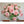 Charger l&#39;image dans la galerie, Première image de la peinture par numéro, Roses Magnifiques , dans un cadre en bois sur du parquet.
